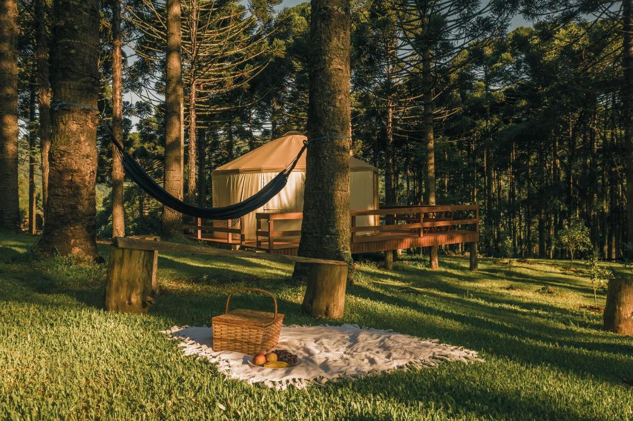 Estancia Las Araucarias Canela Exterior foto