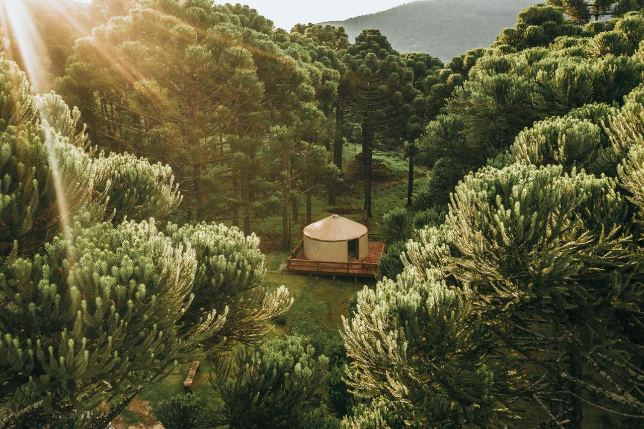 Estancia Las Araucarias Canela Exterior foto